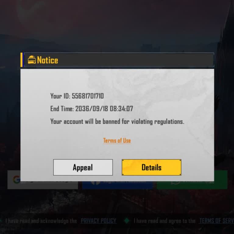 Please Unban My Bgmi ID