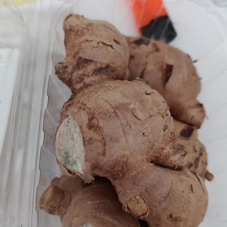 Küflü Zencefil Teslim Edildi, Yeni Ürün Saatlerce Bekletildi