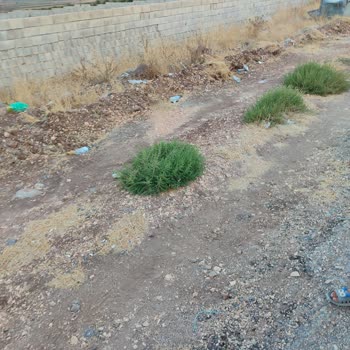 Yavuzeli Çarşıya Güvenli Yaya Yolu İçin Kaldırımlar Acilen Düzenlensin