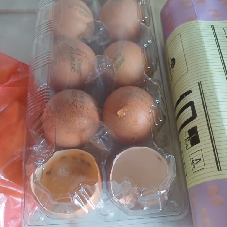 Son Kullanma Tarihi Geçmemiş Yumurtada Küf Ve Sağlık Riski