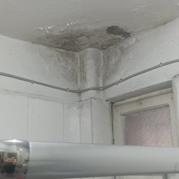 Ethica Sigorta’nın Su Sızıntısı Hasarını Kapsamaması Ve Yönlendirme Eksikliği