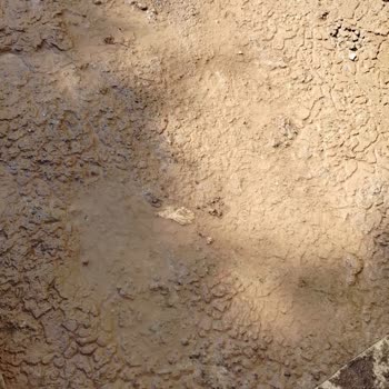 Anadolu Sigorta İzolasyon Çalışması Sırasındaki Su Baskını Hasarını Ödemeyi Reddetti