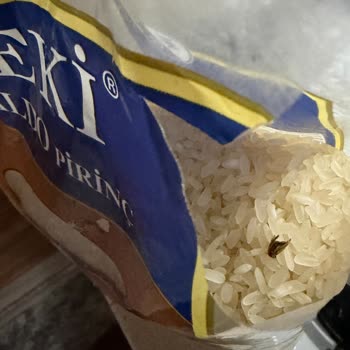 Zeki Baldo Pirinçinde Canlı Böcek Şoku