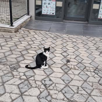 Eki aç