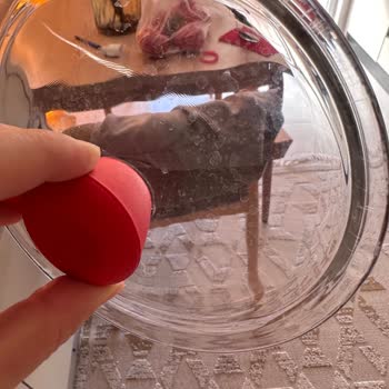 Garanti Altındaki Profilo Bulaşık Makinesi Temiz Yıkama Yapmıyor, Servis Çözüm Bulamıyor