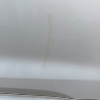 Sıfır Toyota Corolla’da Boya Kusması Ve Sararma: Garanti Kapsamında Değişim Talebi