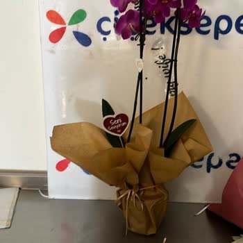 Çiçek Sepeti Saksısız Çürük Çiçek Ve Dalga Geçen Teslimat Notu, Çözüm Yok