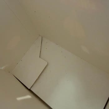 Barilla Makarna Paketlerinde Böcek Sorunu Gıda Güvenliğini Tehdit Ediyor