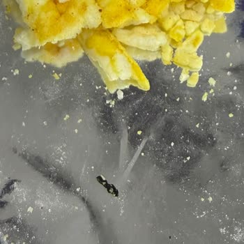 Eti Gong Patlağında Yabancı Plastik Parça Bulundu