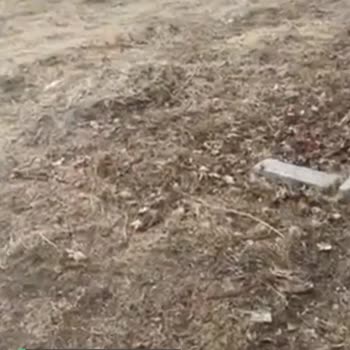 Altınova Belediyesi Temizlik Sorunu!