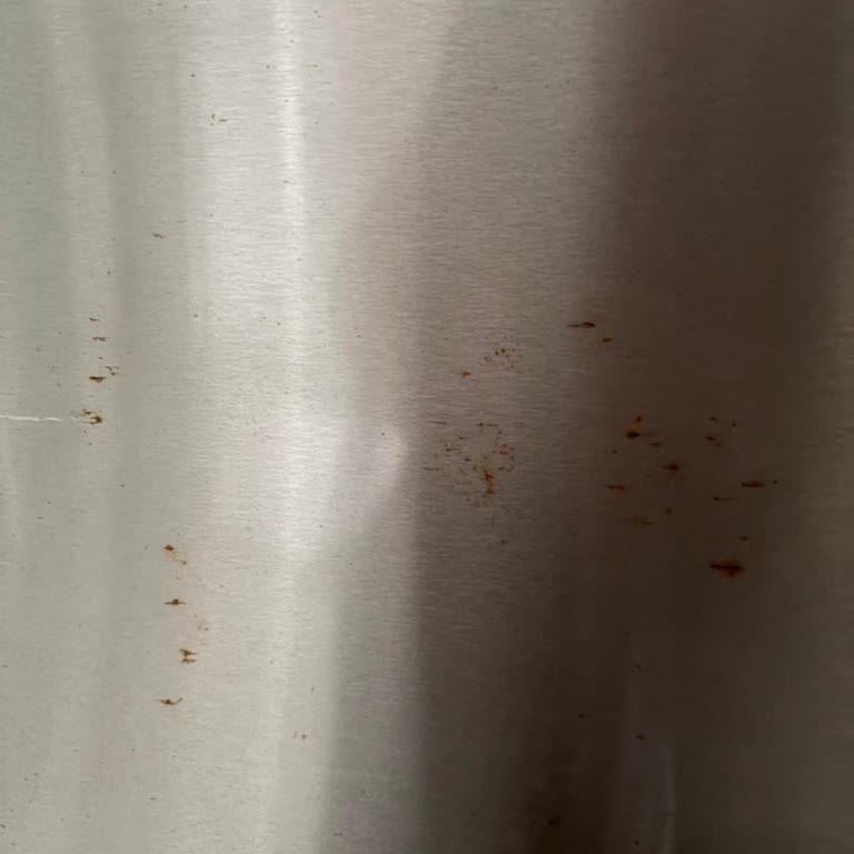 Buzdolabının Kapaklarındaki Tekrarlayan Paslanma Garanti Kapsamında Değerlendirilsin