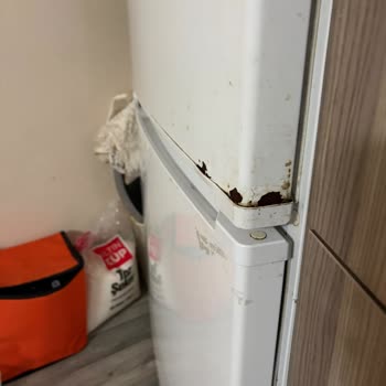 Regal Buzdolabında Hızlı Çürüme Ve Paslanma Sorunu