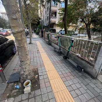 Doğru Park Etmeme Rağmen Verilen Ceza Ve Bonus İptal Talebi