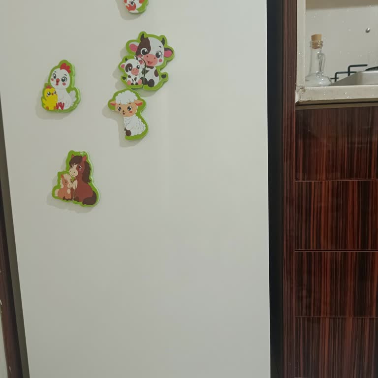 Profilo Buzdolabının Kapısında Paslanma Ve Boya Dökülmesi