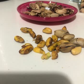 Simbat Kuruyemiş Jumbo Antep Fıstığında Yüzde 30’a Yakın Çürük Ürün
