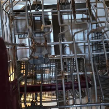 Arçelik 9585 FI Model Bulaşık Makinesinde Sepet Paslanması Ve Kaplama Hatası, Ücretsiz Değişim Talebi