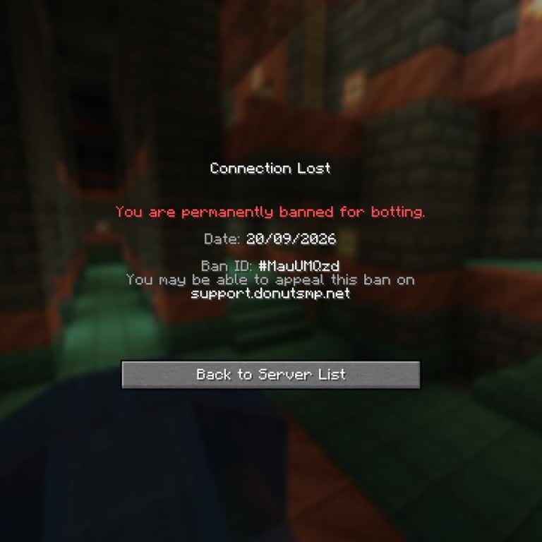 Garanti Bansız Söylendiği Minecraft Hesabının Banlı Çıkması Ve İade Talebi