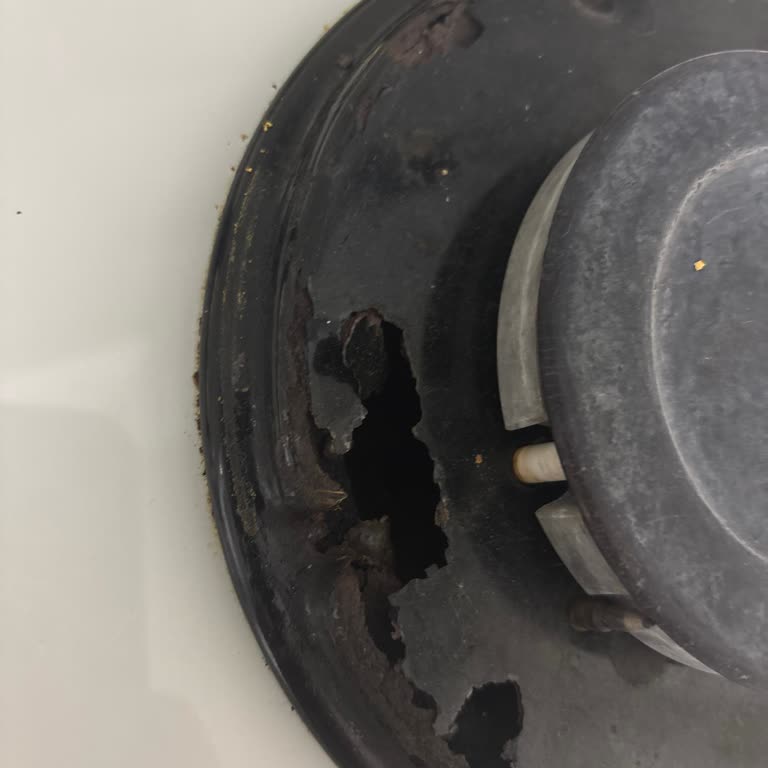 Bosch Set Üstü Ocağın Gözlerinin Erimesi Ve Ücretsiz Onarım İsteği