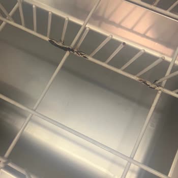 Arçelik Bulaşık Makinesi Alt Sepetinde Paslanma Ve Kaplama Dökülmesi