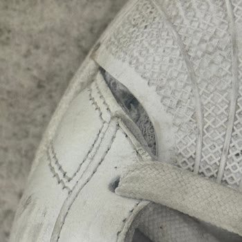 Adidas Superstar Ayakkabım Kısa Sürede Yırtıldı, Kalite Ve Dayanıklılık Sorunu