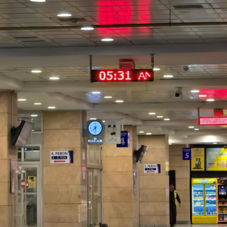 Geciken Tren Nedeniyle Kaçırılan Randevu Ve Çifte Bilet Ücretinin İadesi Talebi