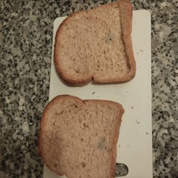 Küflü Tost Ekmeği Satışı Sağlık Riskine Yol Açtı