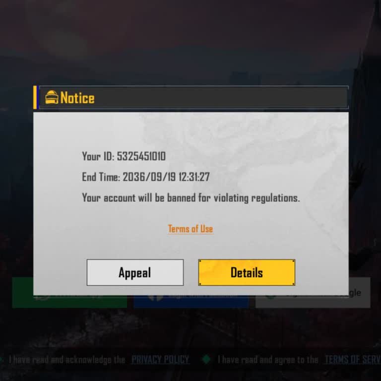 Recover BGMI Character ID From 10-Year Ban