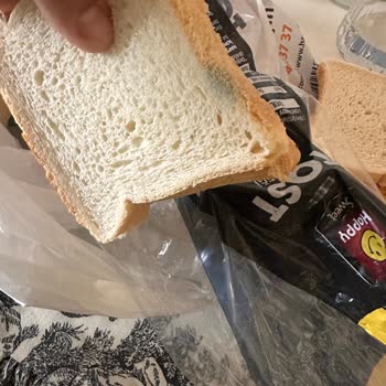 Mavi Küflü Tost Ekmeği: Son Kullanma Tarihi Geçmemiş