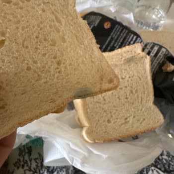 Mavi Küflü Tost Ekmeği: Son Kullanma Tarihi Geçmemiş