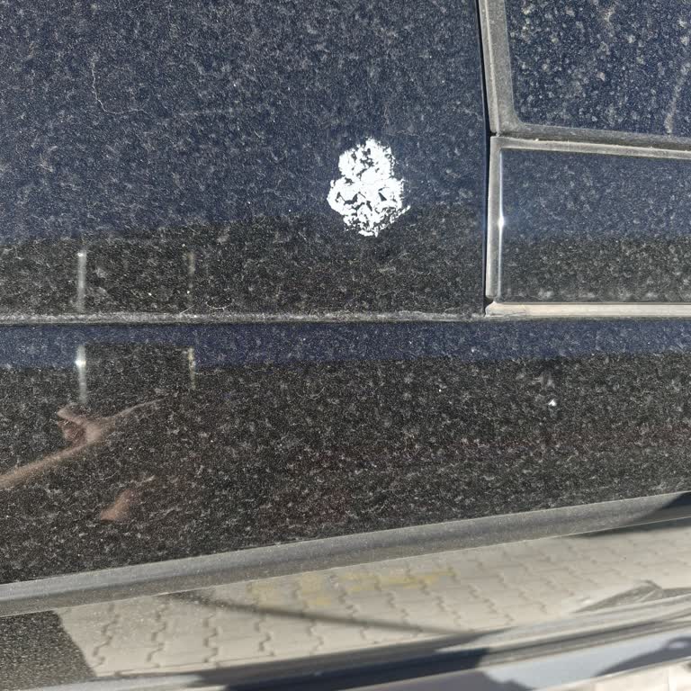 Yeni Opel Astra’da Tavan Boya Atması Ve Değer Kaybı Telafisi Talebi