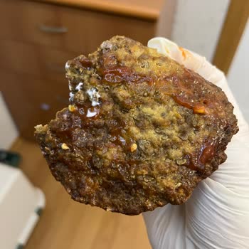 Bayat Ve Soğuk Hamburger, Canlı Destek Yok, Ücret İadesi Talep Ediyorum