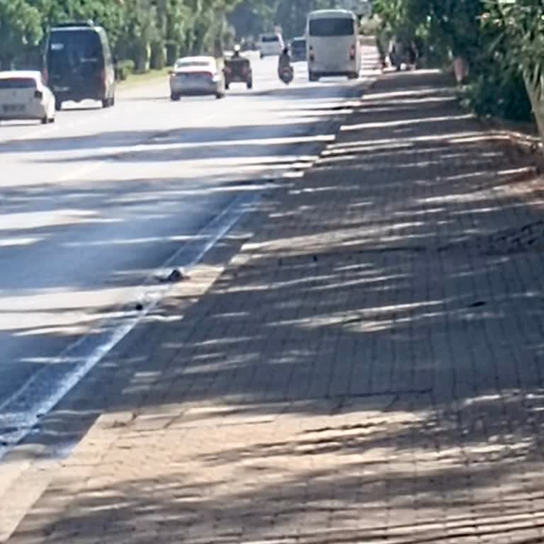 Şoförün Yolcu Almayı Reddetmesi Turistik Bölgede Saygısızlık Ve Mağduriyet Yarattı