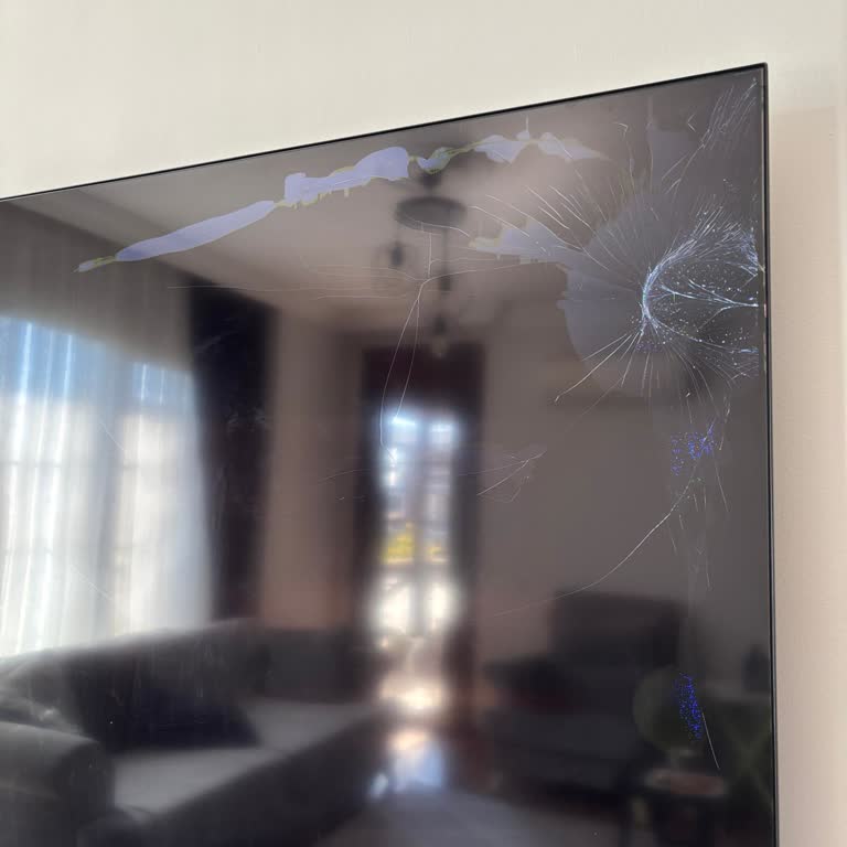 Kozay Nakliyat Televizyonu Kırdı, Sorumluluk Reddi Ve Oyalama