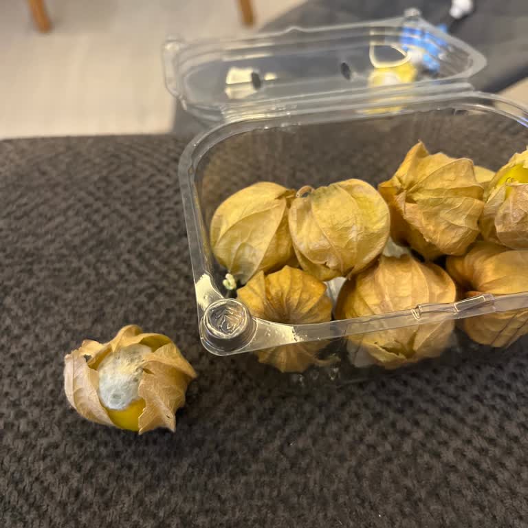 Migros’tan Gelen Küflü Altın Çilekler Gıda Güvenliğini Tehdit Ediyor