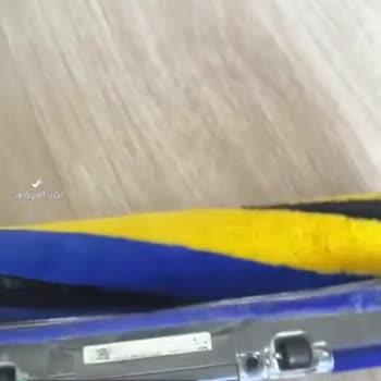 Dyson Müşteri Mağduriyeti, Üretim Hatası Olduğunu Düşünüyorum Süpürgede!