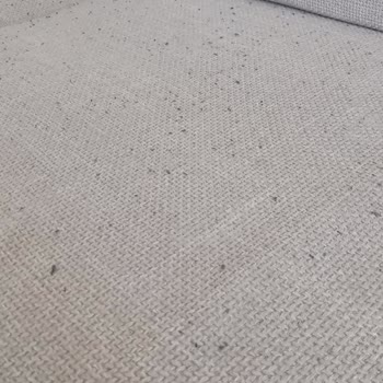 Enza Home Koltuk Takımında Bitlenme Sorunu Ve Müşteri Hizmetlerinin Yetersiz Çözümü
