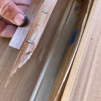 Bauhaus’tan Kırık Bahçe Masası, Müşteri Hizmetleri Çözüm Sunamıyor