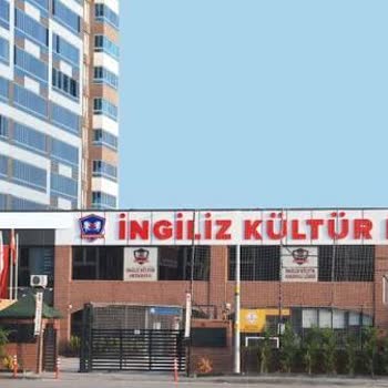 İngiliz Kültür Kolejleri Yanıltıcı Marka Kullanımı Ve Açıklama Talebi