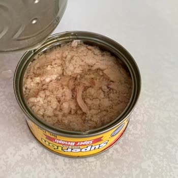Superfresh Ton Balığı Gıda Zehirlenmesiyle Güvenimiz Sarsıldı