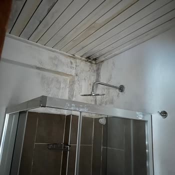 Küflü Banyo Ve Kokulu Oda, Jolly Tur’un Gecikmeli Ve Cezalı İptal Yanıtı Üzerine Tam İade Talebi