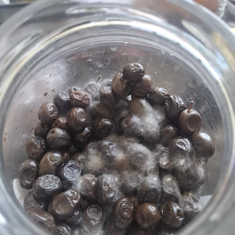 BİM Geçerli Son Kullanma Tarihine Rağmen Küflü Zeytin Sağlık Endişesi Ve İade Talebi