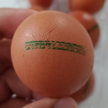 Özkuruşlar Organik Yumurtalarda Okunamaz Kodlar Tüketici Güvenini Sarsıyor