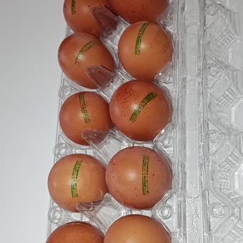 Özkuruşlar Organik Yumurtalarda Okunamaz Kodlar Tüketici Güvenini Sarsıyor
