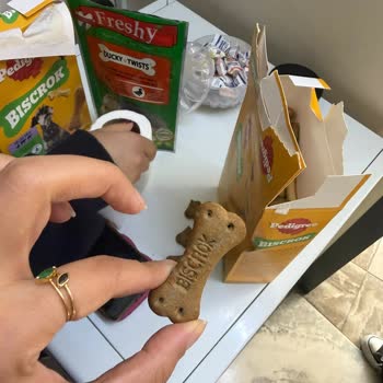 Küflü Pedigree Köpek Maması Ve Sağlık Endişesi
