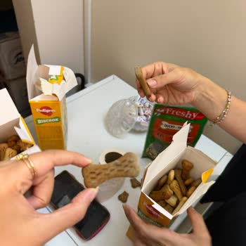 Küflü Pedigree Köpek Maması Ve Sağlık Endişesi