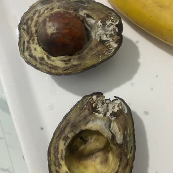 İkili Paket Avokado Çürük Çıkması Ve Sağlık Riski Dolayısıyla İade Talebi