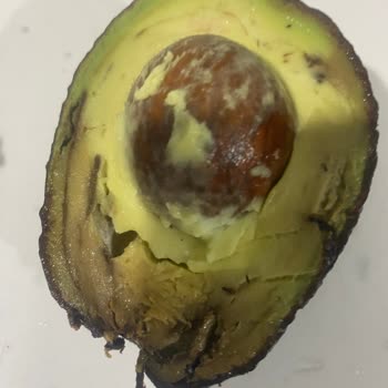 İkili Paket Avokado Çürük Çıkması Ve Sağlık Riski Dolayısıyla İade Talebi