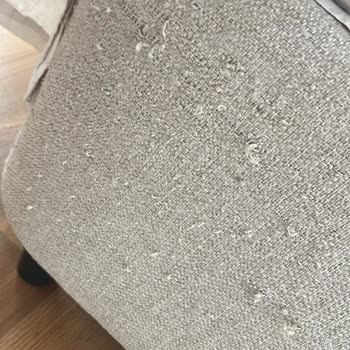 Kedili Ev İçin Uygun Duyulan Yataş Ürününün Kumaşında Erken Aşınma