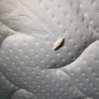 Agoda Marble Hotel Refund Denied After Unhygienic Room