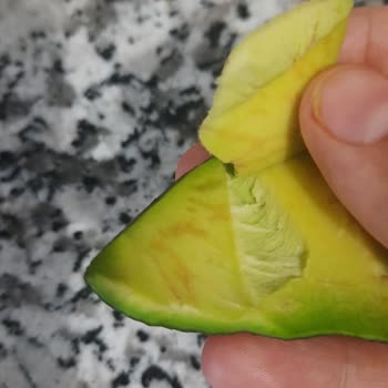 Taş Gibi Sert Avokadolar İçin İade Talebi